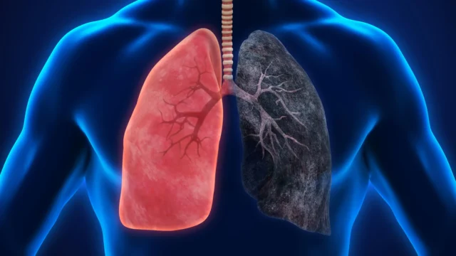 healthy-and-damaged-lungs.webp.webp