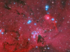 O Hubble da NASA capturou um berçário de estrelas vermelhas brilhando com estrelas azuis e brancas