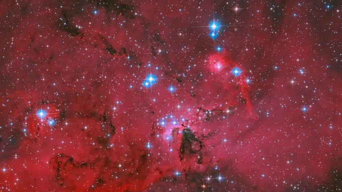 O Hubble da NASA capturou um berçário de estrelas vermelhas brilhando com estrelas azuis e brancas O Hubble da NASA capturou um berçário de estrelas vermelhas brilhando com estrelas azuis e brancas
