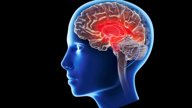 illustration-showing-alzheimers-disease-985724713.jpg