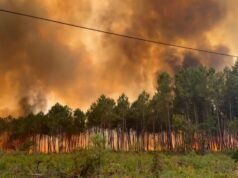 Incêndios florestais em Bordeaux queimam 3.100 hectares, 20.000 evacuados | Feed de notícias