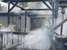 Bombeiro salva a vida de um cachorro e resgata tartarugas de um incêndio em uma casa que desalojou três pessoas em Sherwood.
