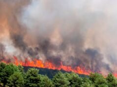 O devastador incêndio florestal já destruiu 32 mil hectares e deslocou mais de 1.200 pessoas em Espanha.