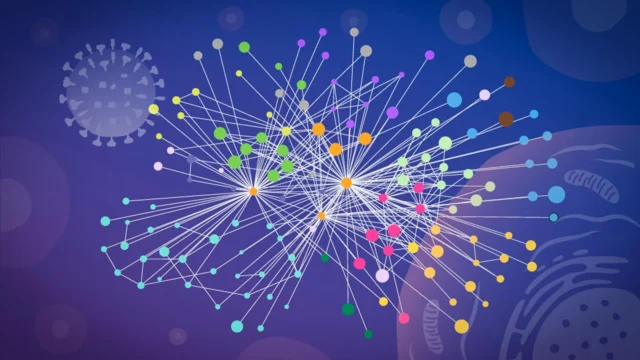 influenza-a-virus-interactions.webp.webp
