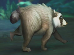 O guaxinim viral Jimothy se junta a videogames como World of Warcraft e RuneScape
