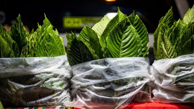 kratom-explainer.jpg