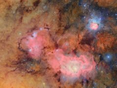AX Year Sky Survey começa a filmar filme cósmico, baratas ciborgues mergulham e mais história da ciência