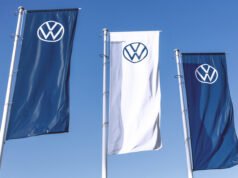 Volkswagen está usando 100 ovelhas para uma fazenda solar na Polônia
