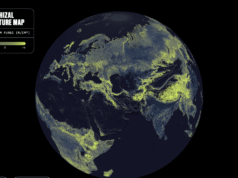 Existe uma Rede Global de Fungos sob seus pés. Este é o primeiro mapa