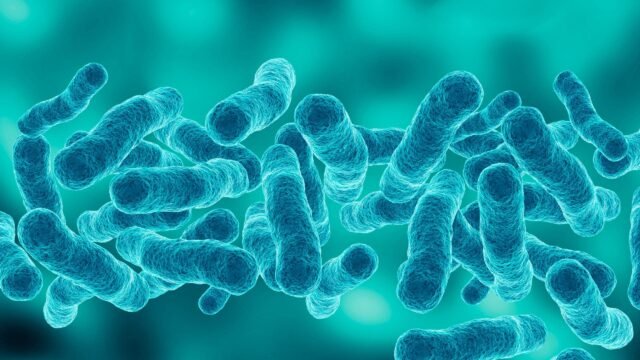 legionella-bacteria-scaled.jpg