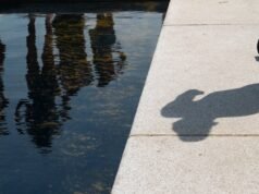 O reflexo do lago foi novamente drenado devido a problemas com uma reforma apoiada por Trump.