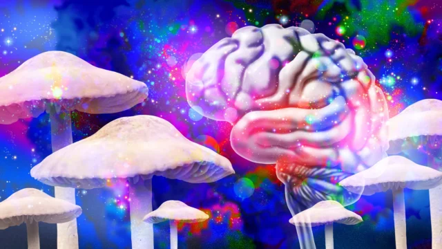 magic-mushrooms-psilocybin-brain-therapy.webp.webp