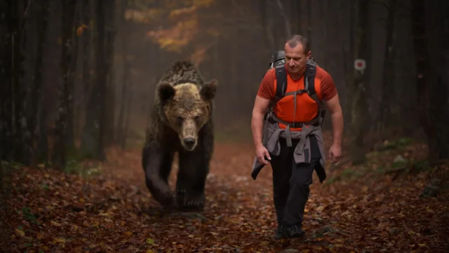 man-hiking-in-forest-with-grizzly-bear.webp.webp