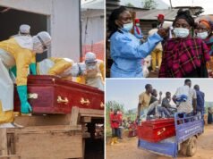 O número de mortes causadas pelo Ébola no Congo atingiu 600 pessoas, enquanto se pensa que novos casos terão ocorrido em províncias anteriormente não afectadas