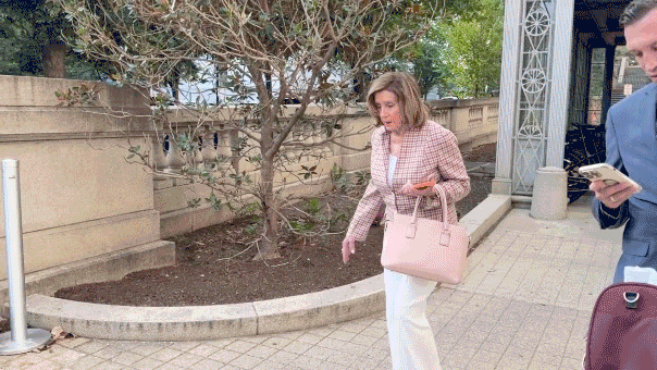 nancy-pelosi-2.gif