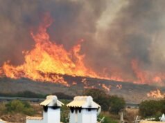 ‘Causa’ de um dos incêndios florestais mais mortíferos da Espanha depois que ‘quatro britânicos’ que entraram no inferno morreram e muitas vítimas no Reino Unido temem