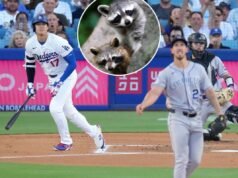 Os filhotes de Panda roubam na derrota dos Dodgers para as Montanhas Rochosas