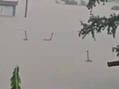 Aldeões aterrorizados vivem com medo depois que centenas de cobras venenosas escaparam das fazendas enquanto as enchentes devastavam a cidade