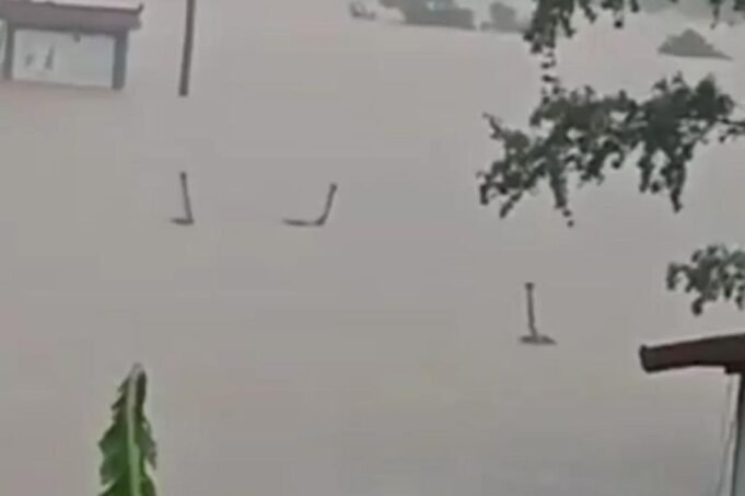 Aldeões aterrorizados vivem com medo depois que centenas de cobras venenosas escaparam das fazendas enquanto as enchentes devastavam a cidade Aldeões aterrorizados vivem com medo depois que centenas de cobras venenosas escaparam das fazendas enquanto as enchentes devastavam a cidade