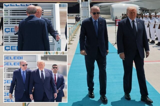 newspress-collage-q5eu79uee-1783456372288.jpg