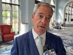 Nigel Farage renuncia ao Parlamento britânico