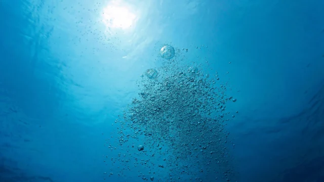 ocean-oxygen-carbon-dioxide-bubbles.webp.webp
