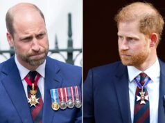 Família real antipática às verificações de segurança do príncipe Harry, dizem especialistas