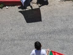 Palestine Weekly: Antes das Eleições Israel redobra os ataques | Notícias sobre o conflito israelo-palestiniano