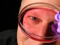 A descoberta da vitamina A muda o que os cientistas sabem sobre a visão