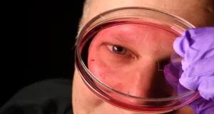 A descoberta da vitamina A muda o que os cientistas sabem sobre a visão