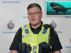 Mergulhador sobrevive à mordida de tubarão de quase 2,10 metros na Austrália: ‘Foi uma mordida muito boa’