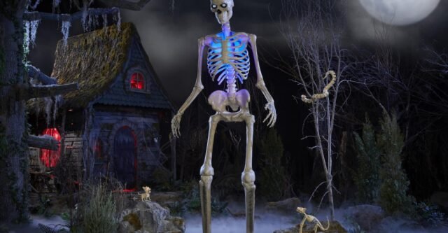 skelly1.jpg