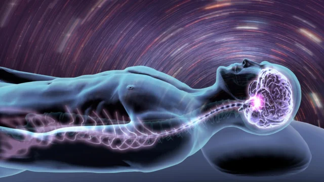 sleep-man-brain-spine-nervous-system.webp.webp