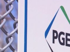 O plano da PGE de remover algumas árvores do Parque Florestal poderia prosseguir mediante um acordo com a cidade.
