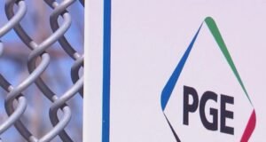 O plano da PGE de remover algumas árvores do Parque Florestal poderia prosseguir mediante um acordo com a cidade.