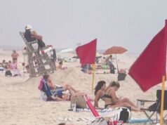 Tubarão morde nadador em praia de Nova York