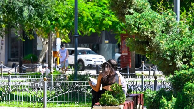 soleado-550290-135908.jpg