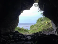 Lobos de 5.000 anos encontrados em ilha remota reescrevem o que sabemos sobre domesticação