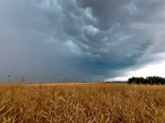 O governo implementou um plano para prevenir o fenômeno El Niño
