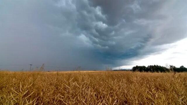 surge-ante-riesgo-inundaciones-558730-091402.jpg