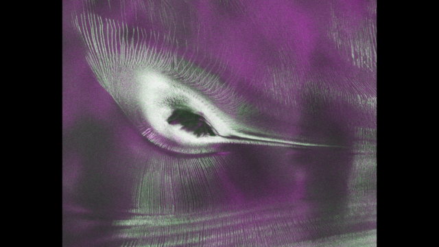 syo69FVotBznkxi63ezcLi-2000-80.png