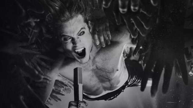 the-vampire-lestat-blogroll-1783033438302.jpg