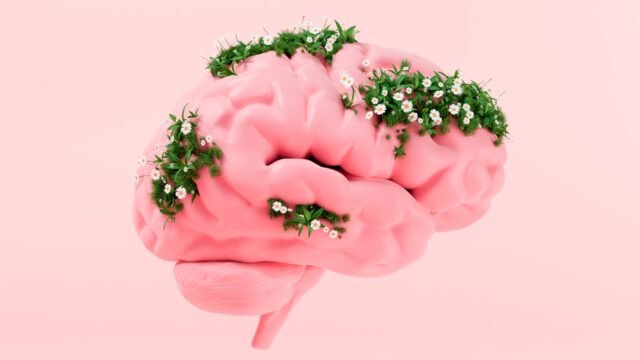 thearpy-brain-mental-health.jpg