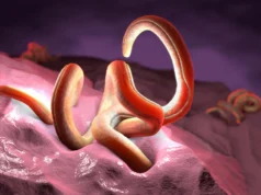 Os cientistas descobriram o único nutriente sem o qual os parasitas benéficos não podem viver