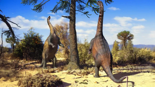 two-neuquensaurus-stand-on-hind-legs.webp.webp