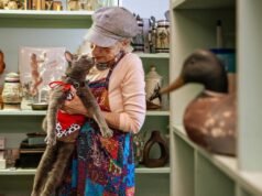 O gato caolho e celebridade de Long Beach, Likho, acaba de comemorar seu 15º aniversário