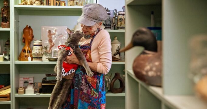 O gato caolho e celebridade de Long Beach, Likho, acaba de comemorar seu 15º aniversário O gato caolho e celebridade de Long Beach, Likho, acaba de comemorar seu 15º aniversário