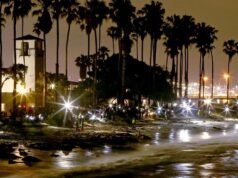 É hora de uma viagem noturna à praia – Grunion está correndo