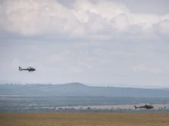 7 mortos em acidente de helicóptero durante safári no Quênia, incluindo CEO da Forbes 30 Under 30 e executivos da Telemundo 7 Dead in Helicopter Crash During Kenya Safari, Including Forbes 30 Under 30 CEO and Telemundo Exec