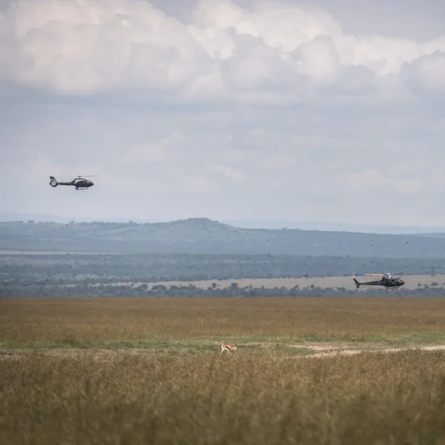 7 mortos em acidente de helicóptero durante safári no Quênia, incluindo CEO da Forbes 30 Under 30 e executivos da Telemundo 7 mortos em acidente de helicóptero durante safári no Quênia, incluindo CEO da Forbes 30 Under 30 e executivos da Telemundo